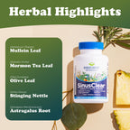 RidgeCrest Herbals SinusClear Mullein Sinus, Nasal and Immune Support 60 Ct