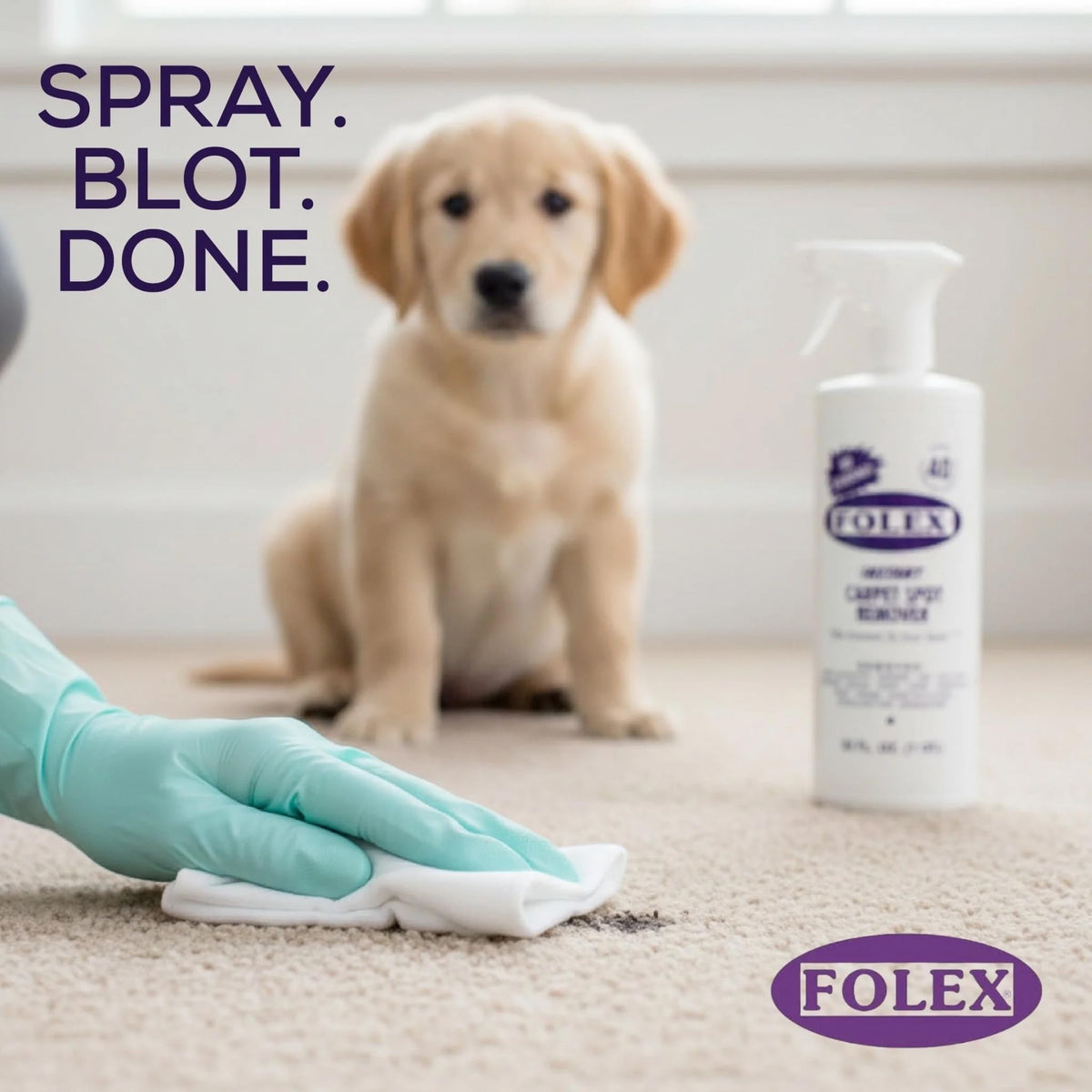 FOLEX Instant Carpet Spot Remover Carpet Cleaner - 32 oz - Removes Pet Accidents, Grease, Red Wine and More