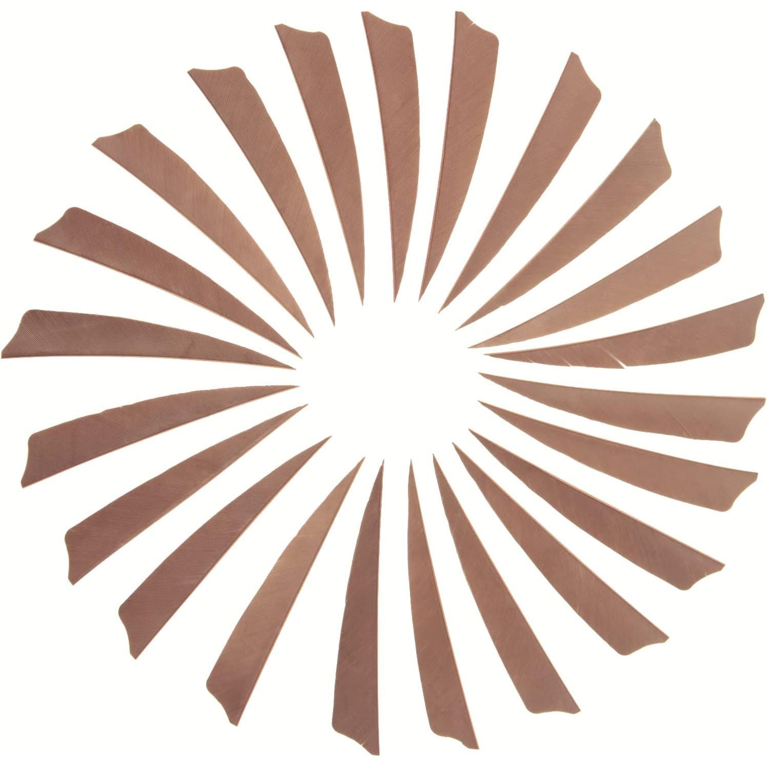 Buy now Arrow Feather 4 Inch Shield Fletching Vanes for Wooden Carbon Bamboo Traditional Arrow(50 Pack) Brown at indiglob india