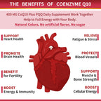 ZEBORA CoQ10 400mg Softgels, 120 Servings | with PQQ, BioPerine & Omega-3, Ubiquinone, High-Absorption, Powerful-Antioxidant, Support Heart & Energy-Production