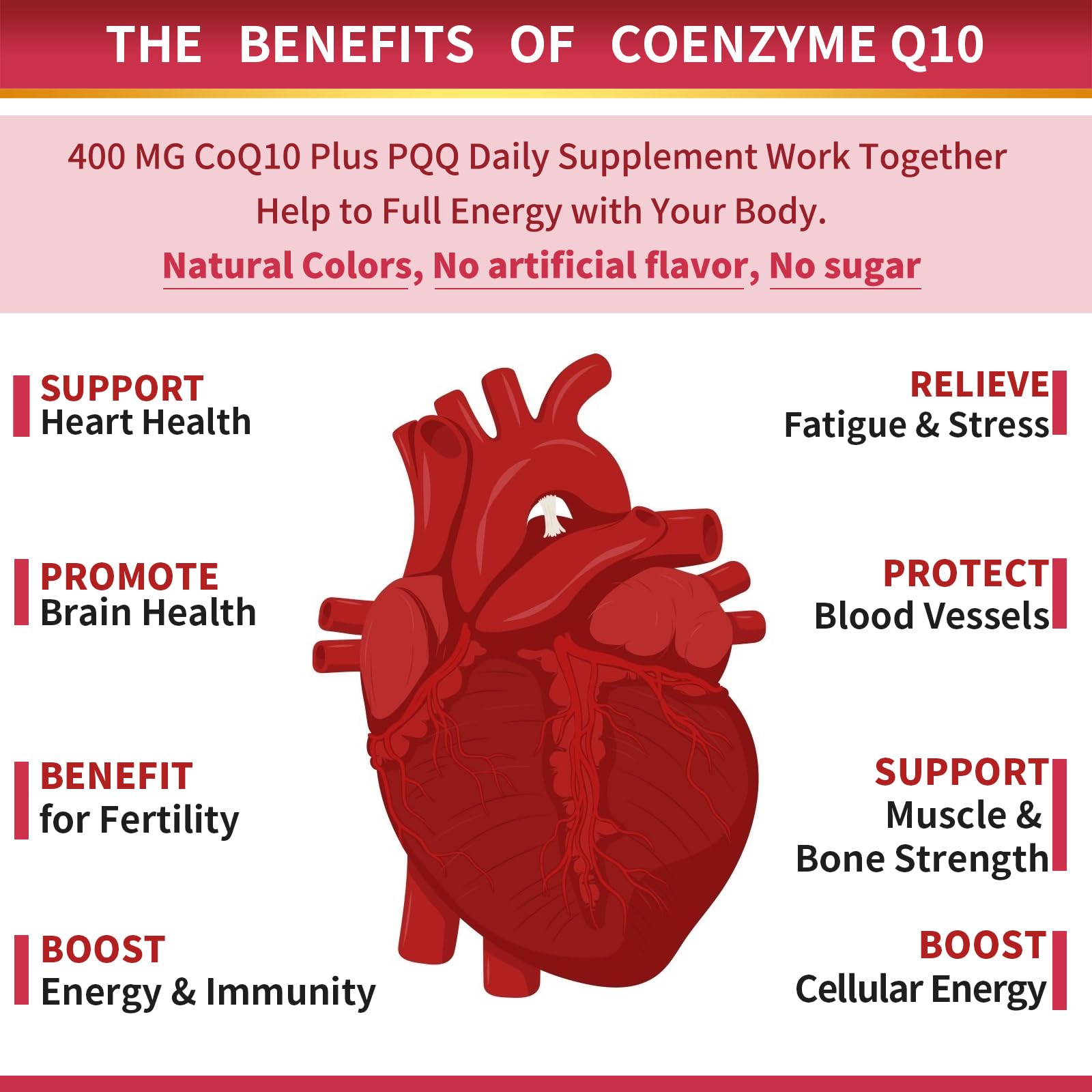 ZEBORA CoQ10 400mg Softgels, 120 Servings | with PQQ, BioPerine & Omega-3, Ubiquinone, High-Absorption, Powerful-Antioxidant, Support Heart & Energy-Production