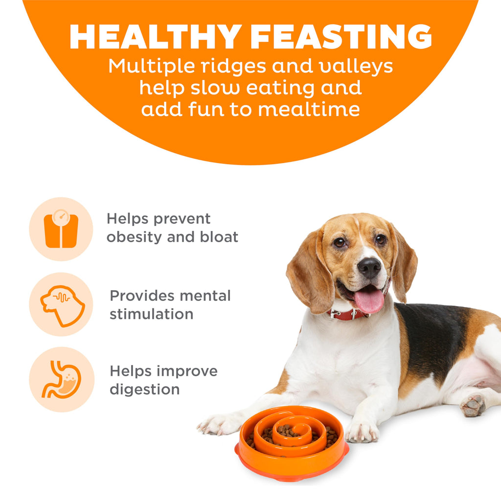 Outward Hound Fun Feeder Slo Bowl – Medium 2‑Cup Capacity, Slow Feeding, Small to Medium Dogs & Cats, Non-Slip, Orange, Swirl Pattern