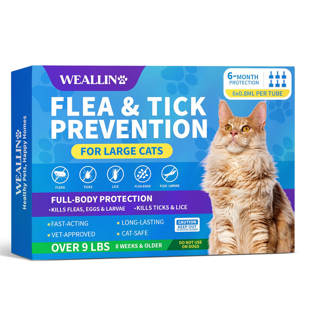 Flea and Tick Prevention for Large Cat, Fleas and Ticks Treatment for Cats