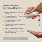 Stonehenge Health Dynamic Mushrooms® | Lions Mane+ Brain, Memory, Focus | Mushroom Supplements for Brain Memory Focus Immune Support Lion's Mane Reishi Chaga Maitake Shiitake 1400mg Fruiting Bodies