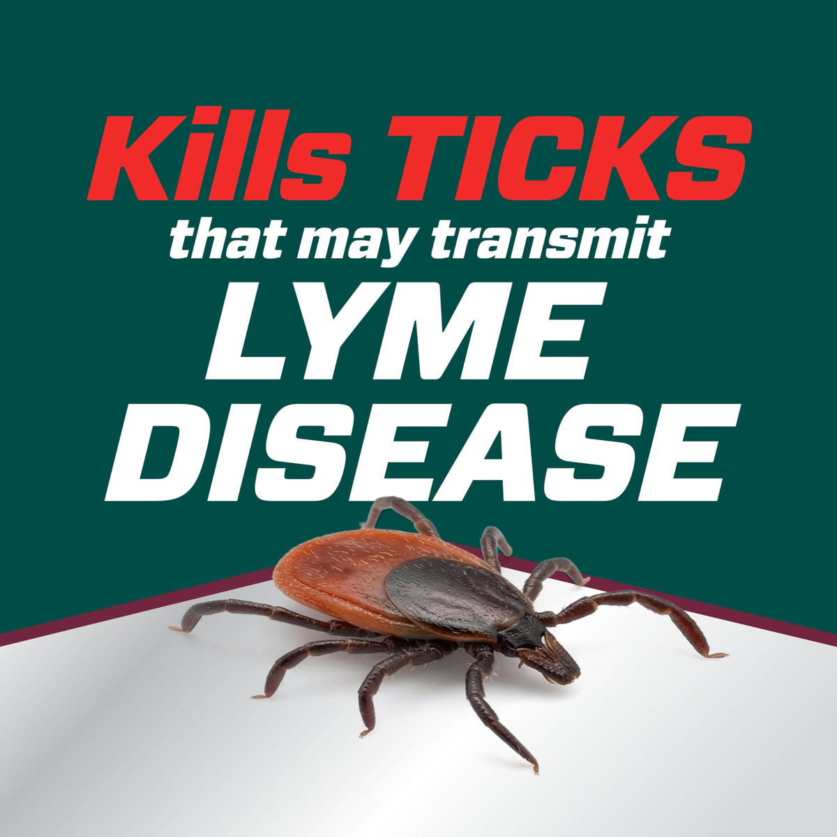 Ortho Tick B-gon Tick Killer Ready-to-Spray, 32 fl. oz.
