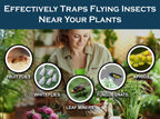 MaxGuard (20 Pack) Yellow Sticky Hanging Traps - Catch and Kill Fungus Gnats, Whiteflies, Mosquitos, Aphids, Leaf Miners, Flying Insect Catcher Glue Trappers for Indoor or Outdoor