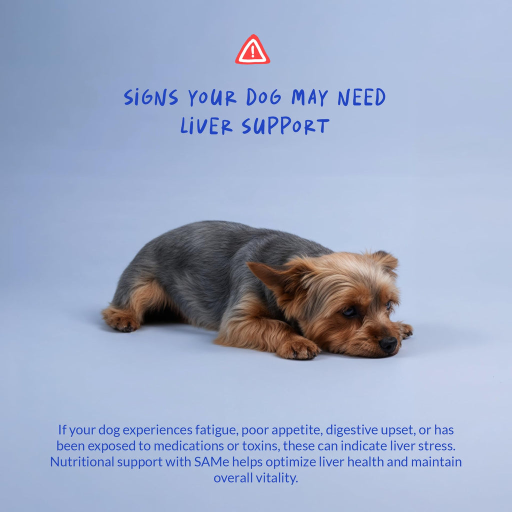 Same for Dogs 120 Tablets - Liver Supplement, Brain & Mood Support
