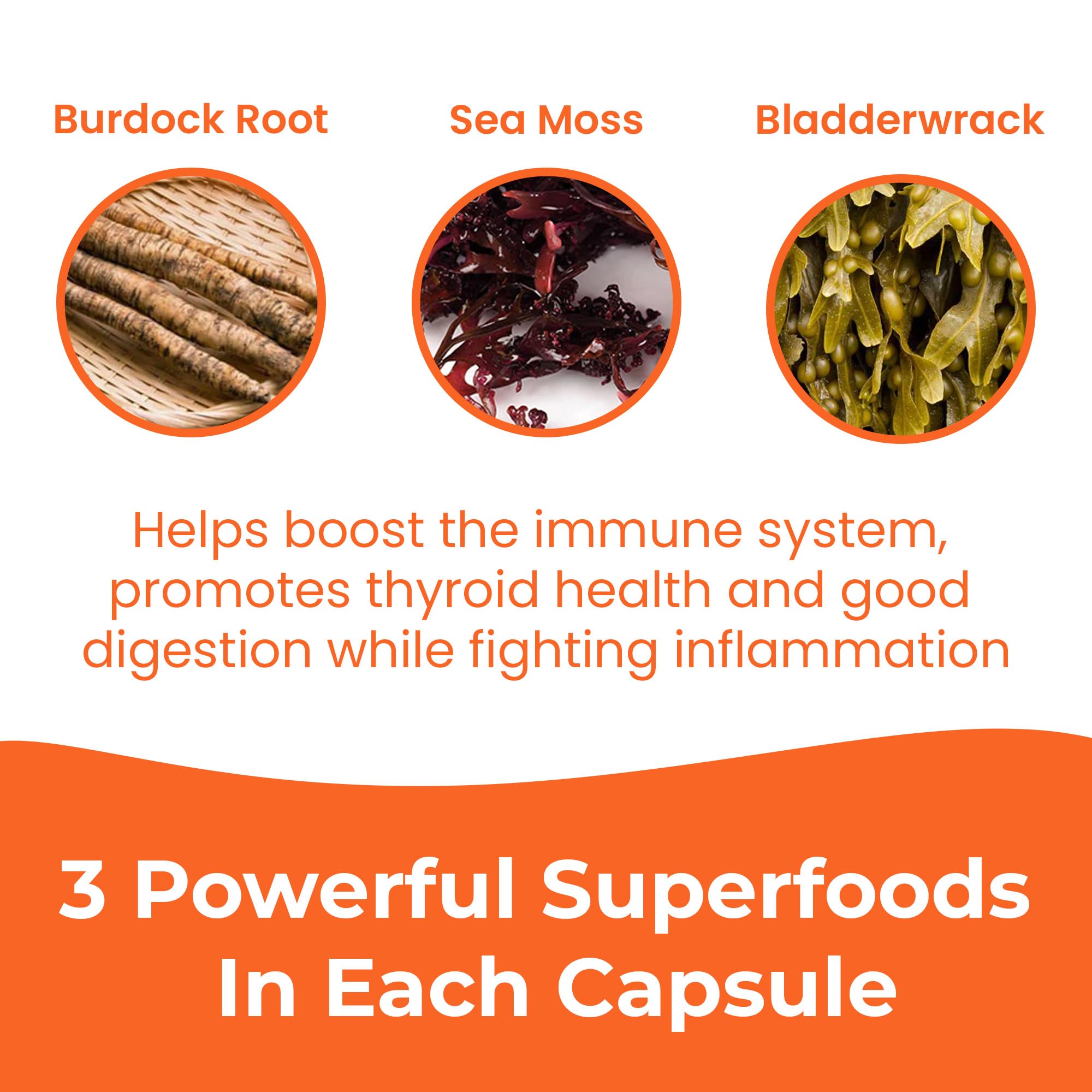 INFINITE AGE 1250mg Sea Moss Advanced Superfood Capsules, 60 Count - High-Potency, Vegan, Made in The USA - Irish Seamoss, Bladderwrack, Burdock Root - Overall Health, Immunity Support