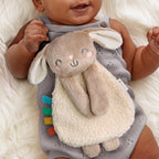 Buy now Itzy Ritzy Bunny Lovey & Crinkle Book Gift Set - Learn & Snuggle Gift Set Includes Soft Sherpa Bunny Lovey & Soft Book with Flap, Textures & Crinkle Sounds (Bunny) at indiglob india