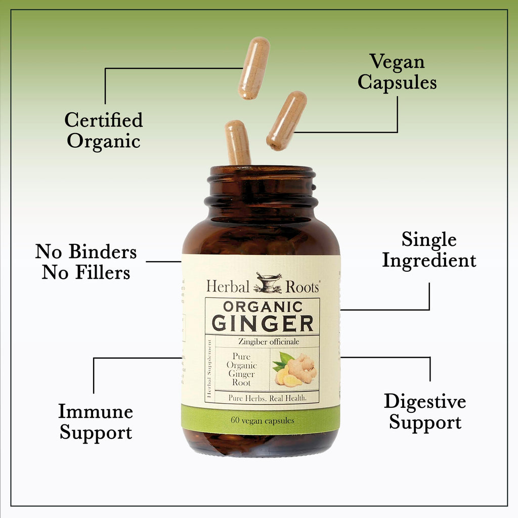 Herbal Roots Organic Ginger Capsules - Digestive Support - USDA Certified Organic - 60 Vegan Capsules