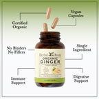 Herbal Roots Organic Ginger Capsules - Digestive Support - USDA Certified Organic - 60 Vegan Capsules