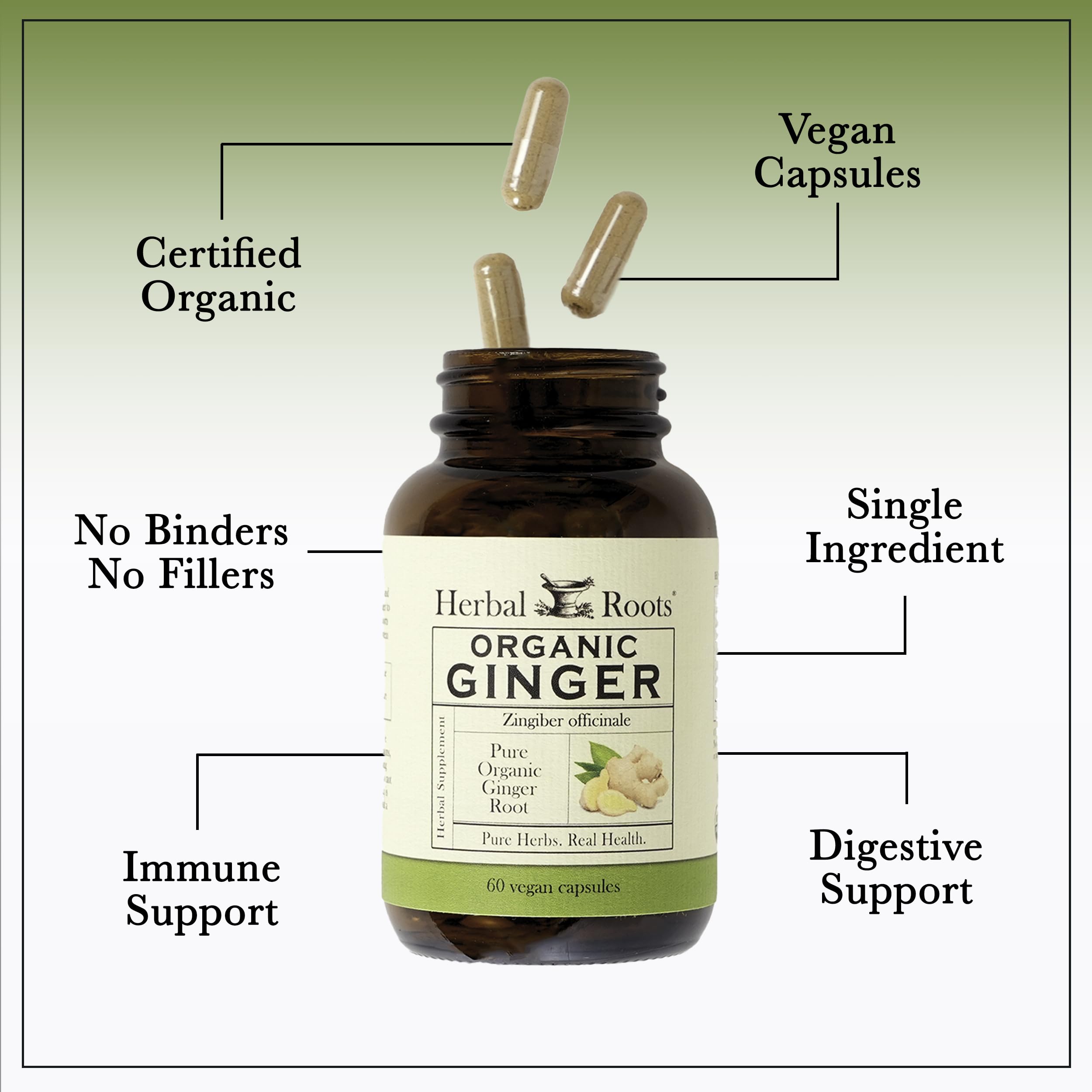 Herbal Roots Organic Ginger Capsules - Digestive Support - USDA Certified Organic - 60 Vegan Capsules