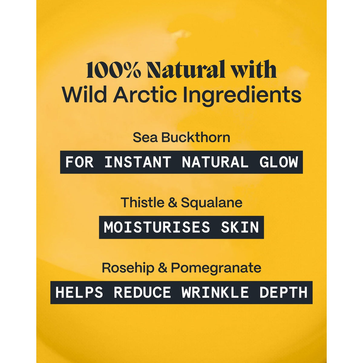 Norse Organics Pimple Stopper Day Balm for Face (1 oz)