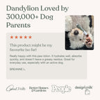 Dandylion, Dog Paw Balm, Soft Paws, Paw Moisturizer for Dogs with Brush