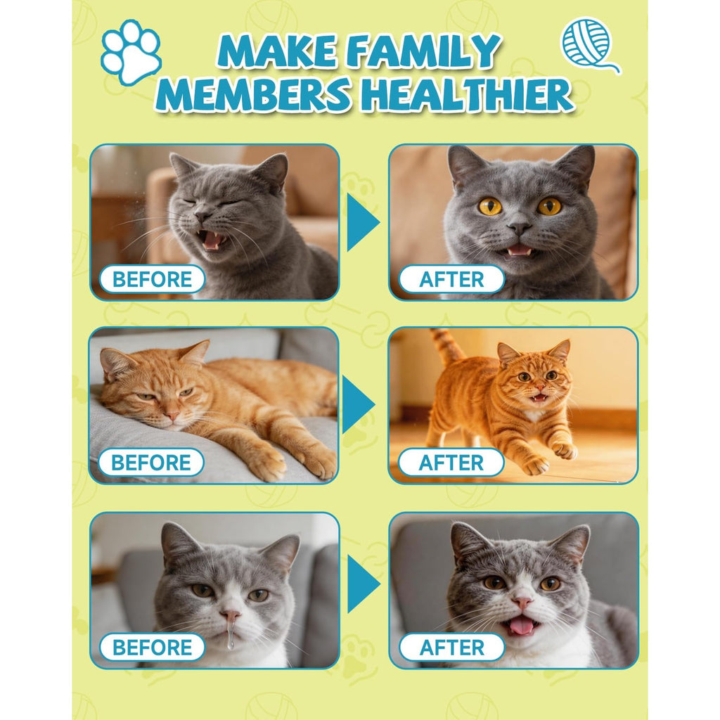 L Lysine for Cats Lysine, Cat Sneezing Cold Allergy Relief Immune 60ML
