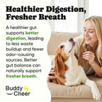 Probiotics for Dogs – Helps Digestion, Loose Stools, Gas & Sensitive Stomachs, Probiotics for Itchy Skin & Dog Yeast Infection, Immune & Fresher Breath with 4 Prebiotics & 5 Digestive Enzymes – 180 ct