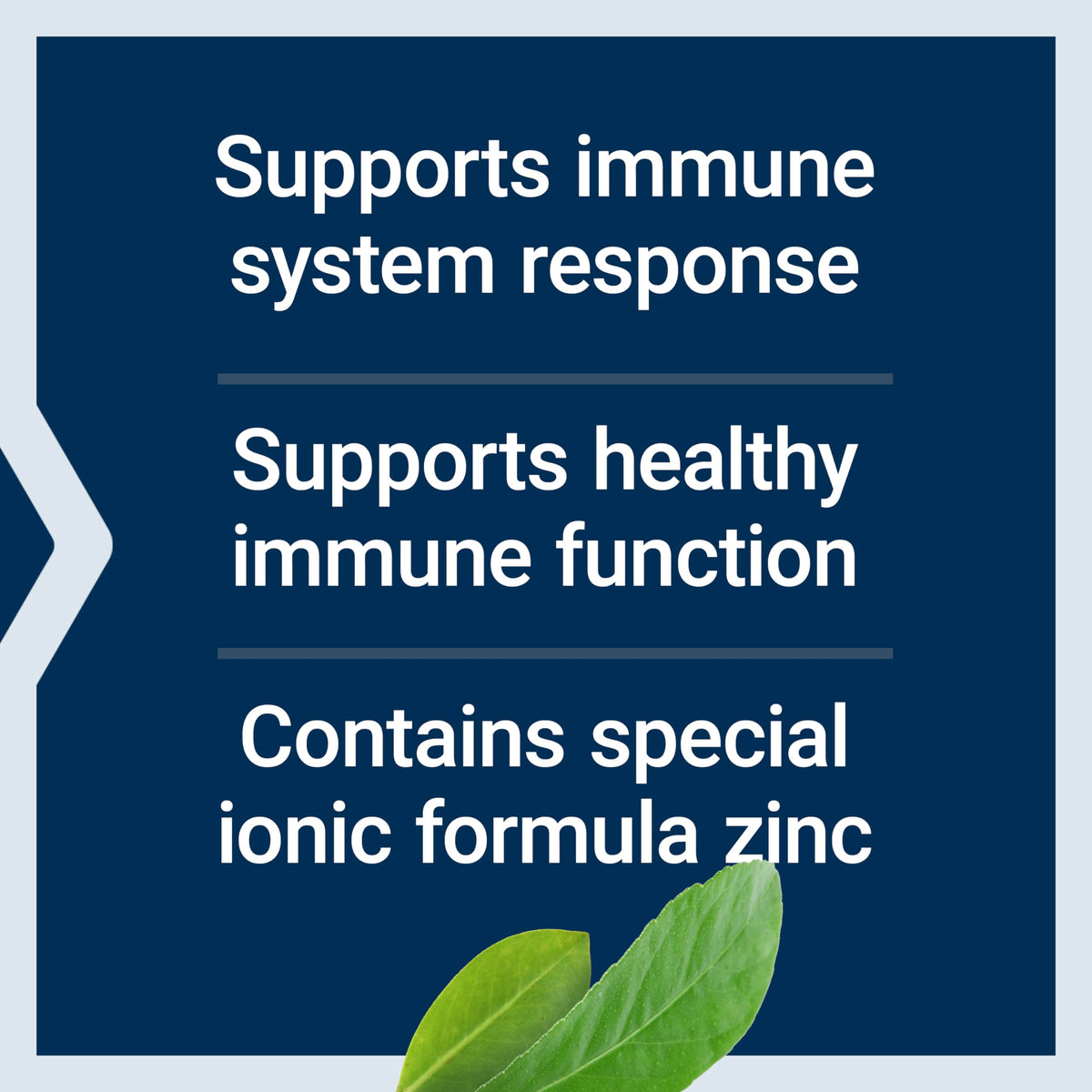 Life Extension Enhanced Zinc Lozenges, Vegetarian, 30 Lozenges