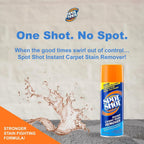 Buy now Spot Shot Professional Instant Carpet Stain Remover No-Scrub Aerosol, 14 oz at indiglob india