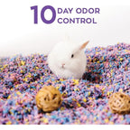 Buy now Carefresh 99% Dust-Free Confetti Natural Paper Small Pet Bedding with Odor Control, 23 L at indiglob india