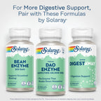 SOLARAY DAO Enzyme 60000 HDU, 30 VegCaps | Histamine Digestion Support, Plant Based DAO Enzyme, Enteric Coated, 30 Servings, Vegan, Lab Verified
