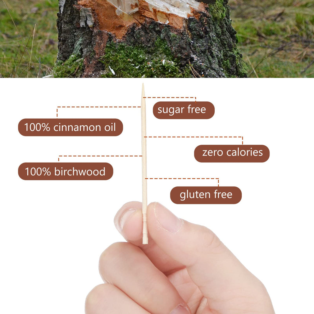 Mumufy 400 Pcs Cinnamon Toothpicks, 4 Clear Plastic Boxes