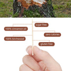 Mumufy 400 Pcs Cinnamon Toothpicks, 4 Clear Plastic Boxes