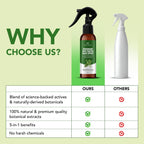 Botanic Hearth Rosemary & Rice Water Hair Growth Spray - 6.8 Fl oz | Leave In Conditioner, Root Enhancer, Korean Scalp Treatment, Anti-Itch & Hair Strengthening Spray Suitable for Women & Men