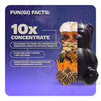 Nutrops Nootropics Mushroom Gummies for Brain Health, Sugar Free 28 ct | 1000mg of Mushrooms Including Lion's Mane, Chaga, Reishi, Cordyceps