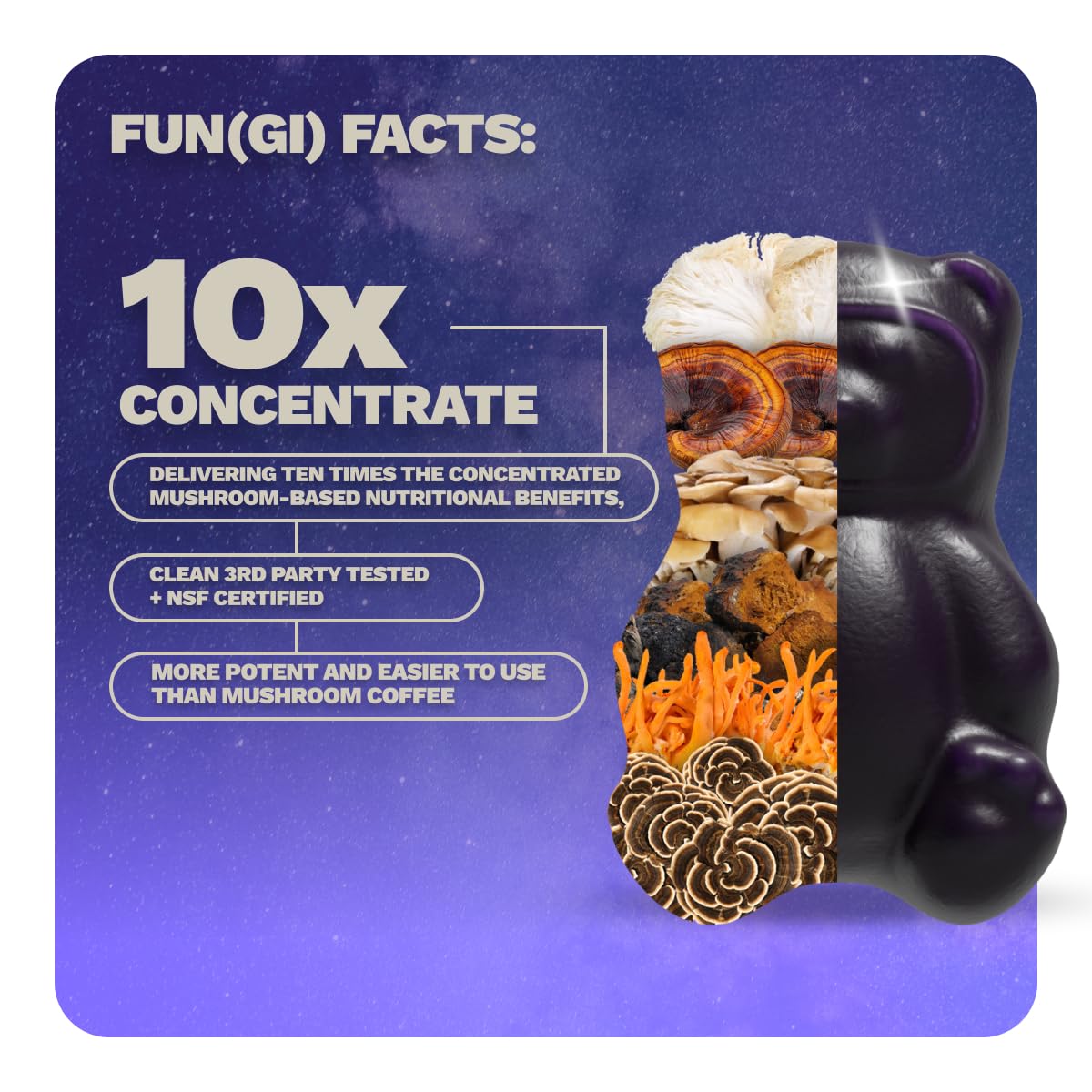 Nutrops Nootropics Mushroom Gummies for Brain Health, Sugar Free 28 ct | 1000mg of Mushrooms Including Lion's Mane, Chaga, Reishi, Cordyceps