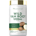 Carlyle Wild Yam Root Capsules | 200 Count | Traditional Herbal Extract