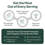 Organics Ocean Better Fiber - Daily Fiber Supplement - Soften Stool for Effortless Bowel Movements - with Psyllium Husk and Slippery Elm - 3 Bottles