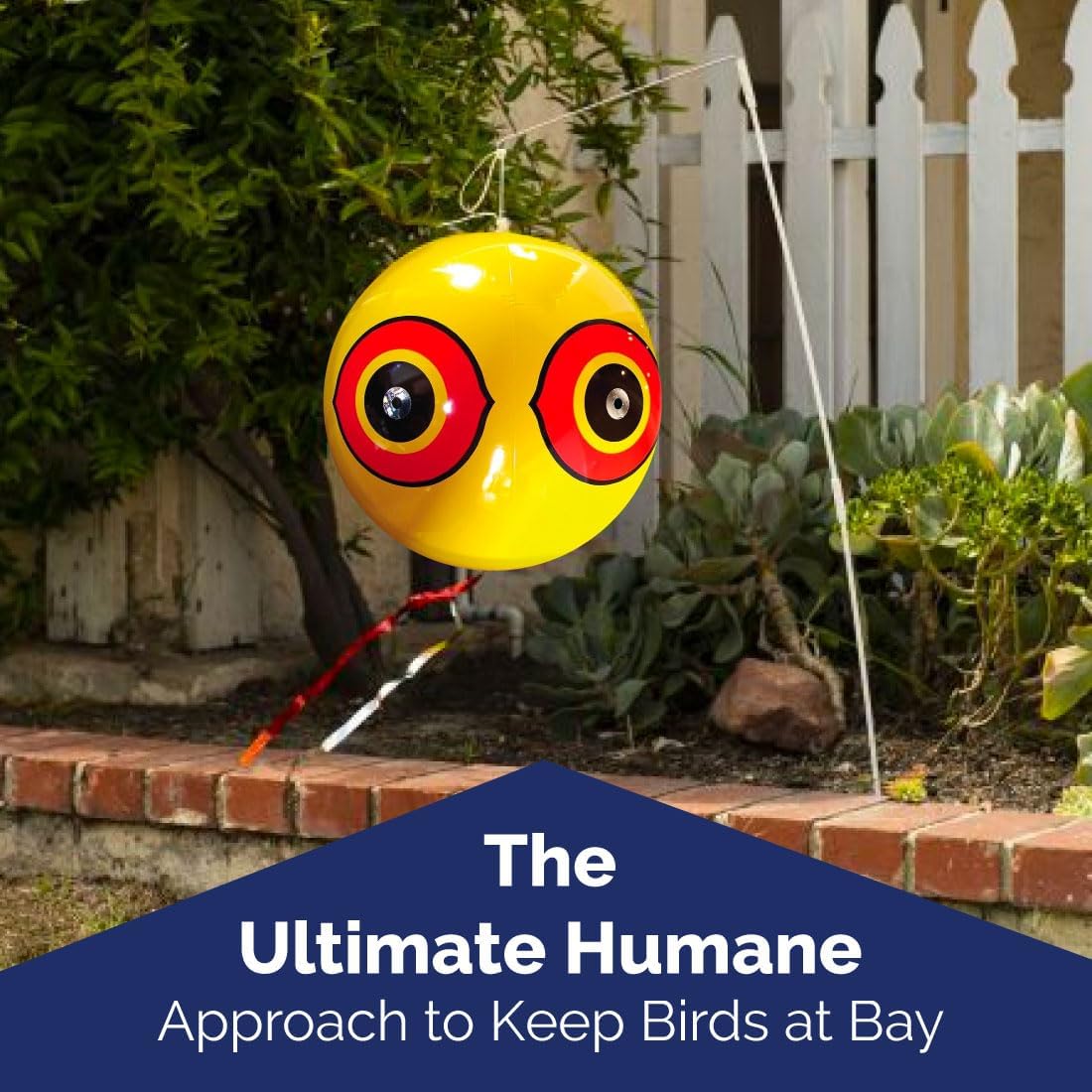 Buy now Bird-X Scare-Eye Balloons, Predator 3D Eye Balloons with Glaring, Bright Colors, Cover up to 6,000 sq. ft. Area, Pack of 3, Yellow, White, and Black at indiglob india
