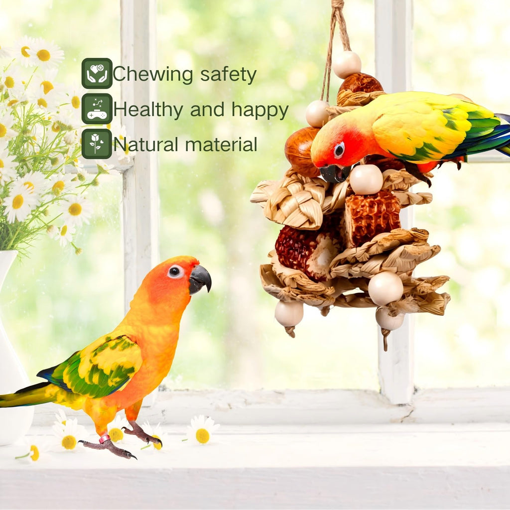 2pcs Bird Toys for Parakeets,Parrot Cage Chewing Hanging Toy