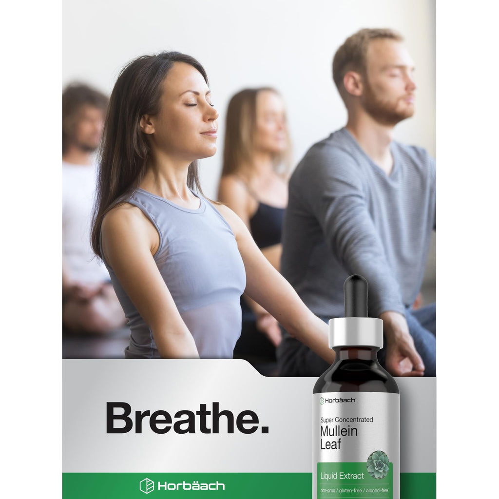 Horbäach Mullein Leaf Extract Drops | 2 fl oz