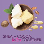 Jergens Shea and Cocoa Whipped Body Butter Lotion, Tone Enriching Hand And Body Lotion for Dry Skin, with Vitamins B3 & E, 8.5 Oz | Whipped Body Butter, Vitamins E & B3, Hydrates Deeply, Evens Skin Tone, Soft Smooth Feel