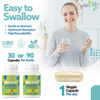 Bariatric Choice Once Daily Bariatric Multivitamin with Iron 45mg, 3 Months | 3-Mo Supply, Once Daily Easy-to-Swallow Capsule for Gastric Bypass & Sleeve Patients – High Potency Vitamins A, D, B12, More