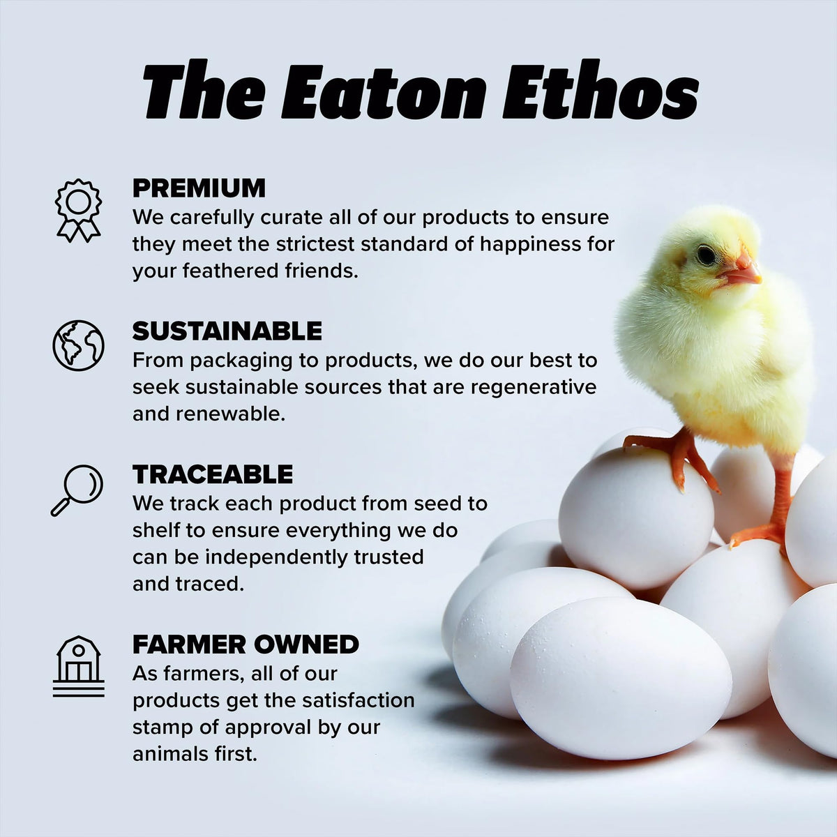Eaton Pet and Pasture 10 Pack Nesting Pads for Laying Hens, 13 x 13 Inch