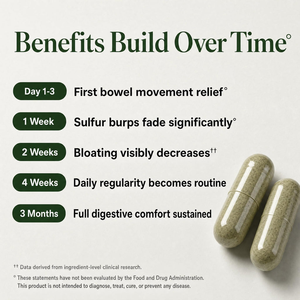 GLP-1 SOS™ Digestive Support for Ozempic Wegovy Mounjaro Zepbound Users – Constipation, Sulfur Burps, Bloating, Fatigue – Magnesium, Ginger, 19-Strain Probiotic, B12 – Physician-Formulated – 60 Caps