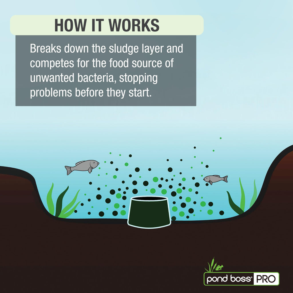 pond boss® PRO The Block™ – Water Clarifier, Sludge & Odor Remover, 5 lb.