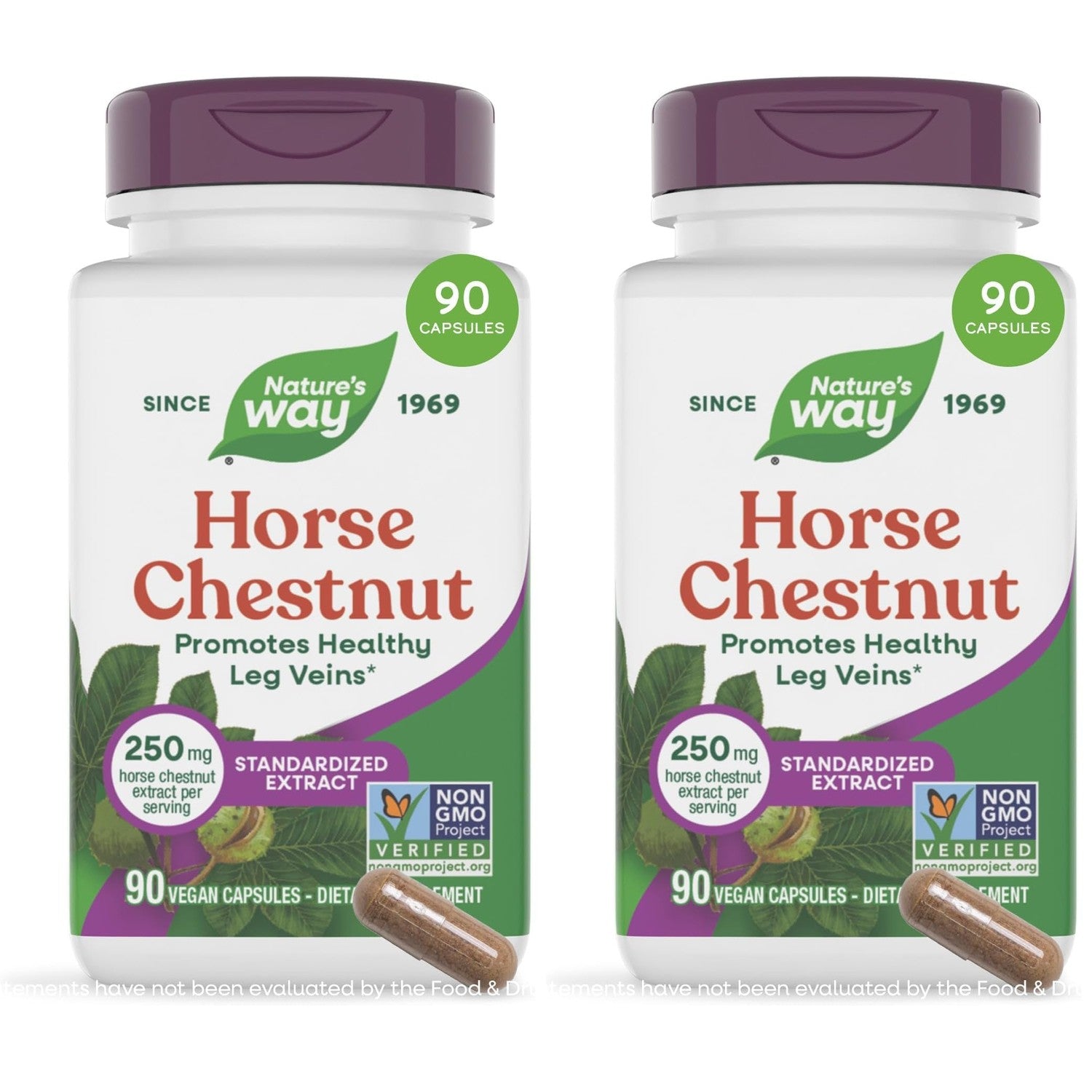 Nature's Way Horse Chestnut Extract, Supports Healthy Leg Veins*, 90 ct | Premium Extract, Standardized to 20% Aescin, Non-GMO Project Verified, Gluten Free, Vegan, 90 Capsules