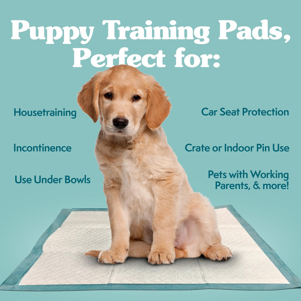 Simple Solution Large Puppy Training Pads, Leak Proof, 23"x24" 100 Count