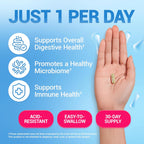Buy now Dr. Berg Probiotic Supplement (60 Billion CFUs) - Helps Ease Occasional Constipation, Diarrhea, Gas & Bloating* - Pre and Probiotics for Digestive Health - 30 Probiotic Capsules at indiglob india