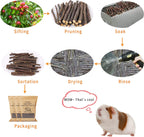 700g Apple Sticks Molar Wood Treats, Rabbit Toys Chinchilla Guinea Pig Bunny Toys Wood Chews Sticks for Teeth Rabbit Food Guinea Pig Hamster Gerbil Chews Small Animals Snacks(200 Pcs)