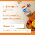 Buy now Doctor's Best L-Theanine Contains Suntheanine, Helps Reduce Stress & Sleep, Non-GMO, Gluten Free, Vegan, 150 mg (DRB-00197), 90 Count at indiglob india