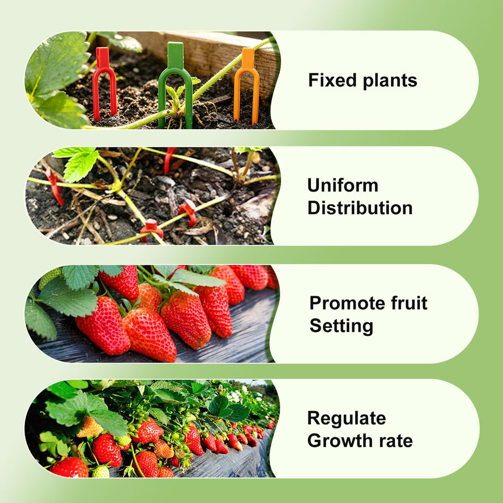 150 Pcs Reusable U-Shaped Plastic Garden pins Serve as Secure Anchor Clips for Plant cuttings, Effectively Supporting Strawberry Runners and Vines to Promote Rooting.