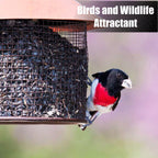 Wildlife Black Oil Sunflower Seeds for Birds and Wildlife, Non-GMO & USA Grown on Small Farms (12 lbs)