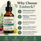 Lymphatic Drainage Drops, Fluid Retention – Alcohol-Free, Vegan | with Elderberry & Echinacea Dandelion，– Supports Lymphatic Drainage, Immune System & Detox 2 fl oz (1pcs)