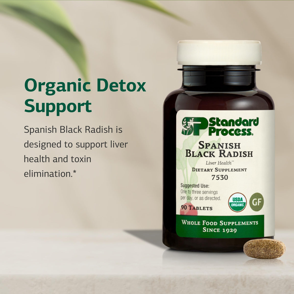Standard Process Spanish Black Radish, Liver & Gallbladder, 90 Tablets