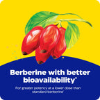 Enzymedica Berberine Phytosome High Absorption Supplement - 60 Caps
