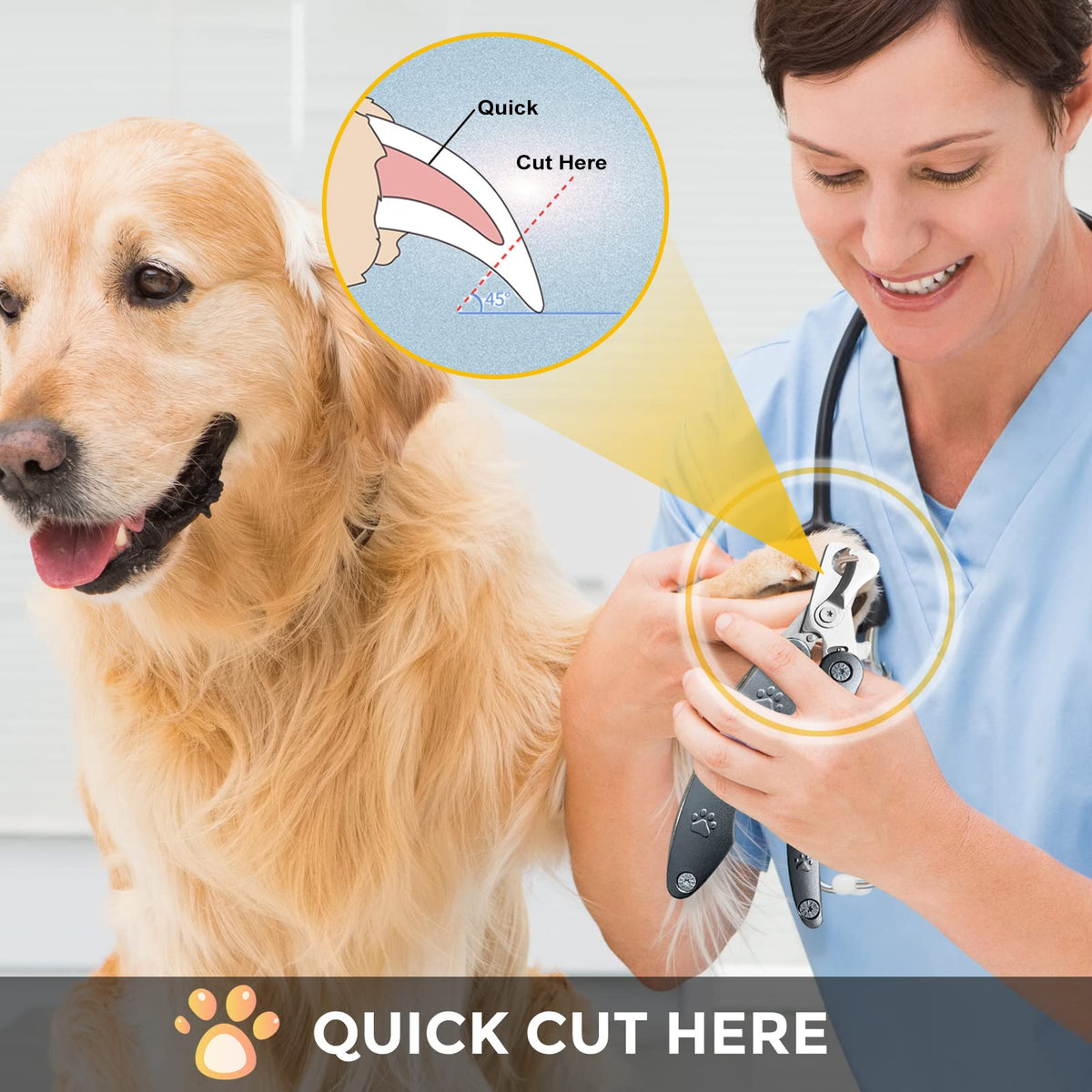 Best Dog Nail Clippers for Anxiety Sensitive Dogs with Thick Nail